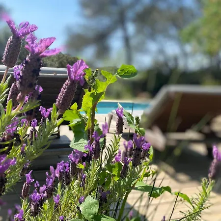 Daire La Pampa Nîmes