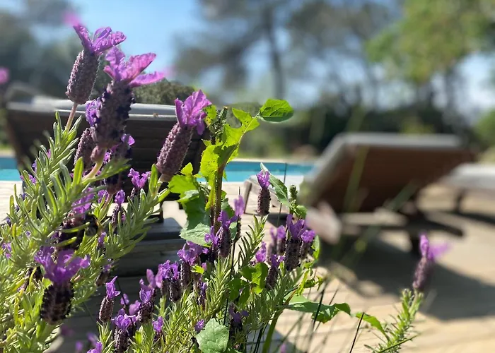 アパート La Pampa ニーム